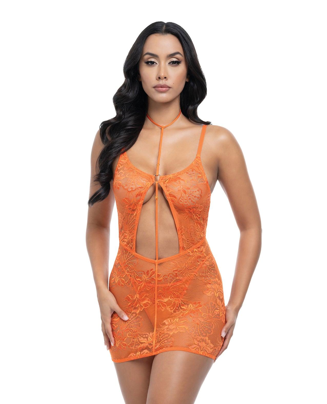 product image, 207068733.jpg