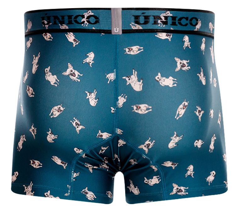 Unico 25060100104 Chihuahua Trunks