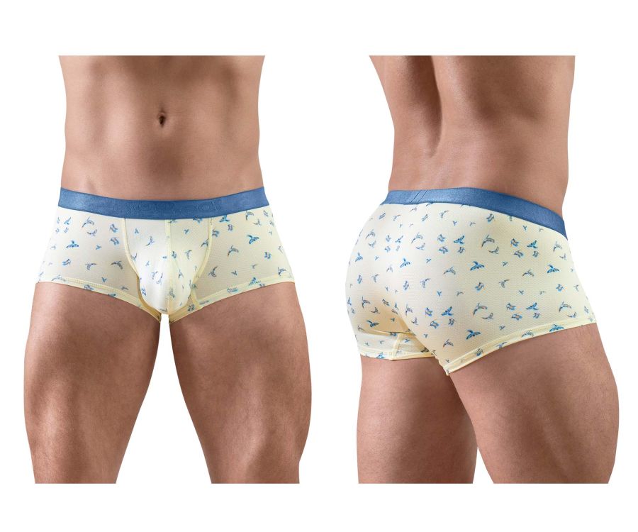 product image, 250147811.jpg
