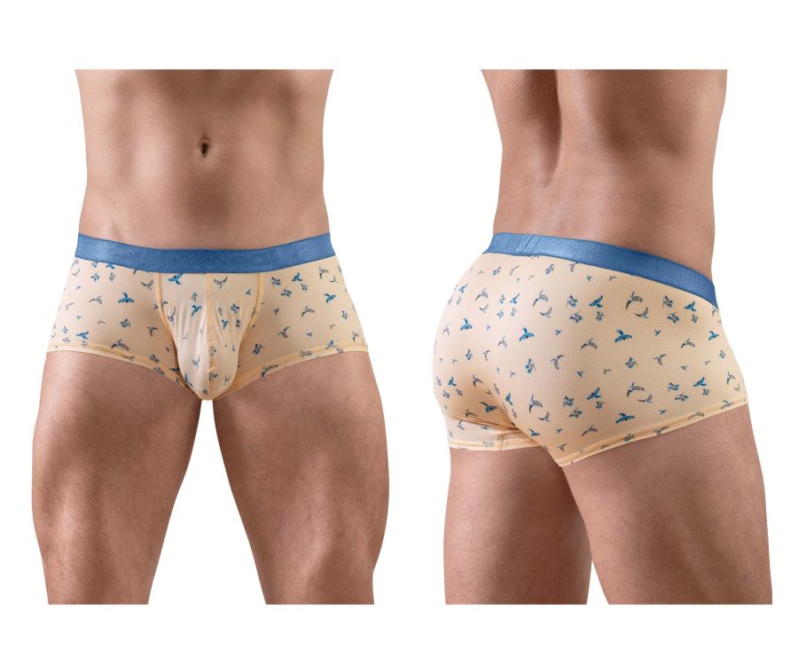 product image, 250147819.jpg