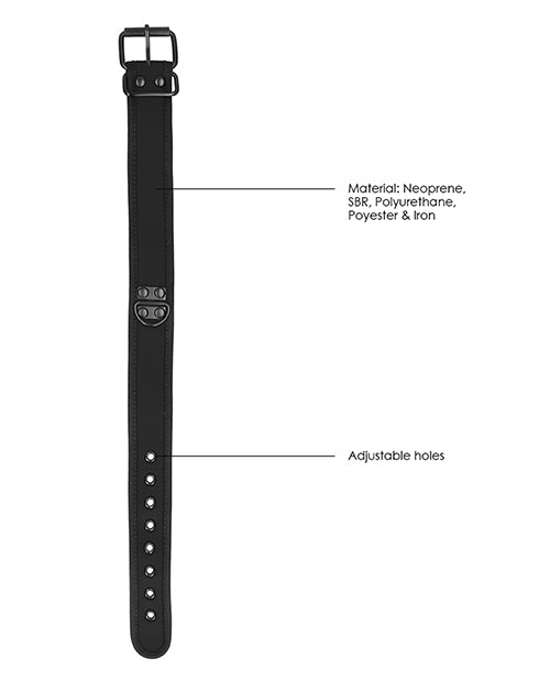 product image, 251536994.jpg