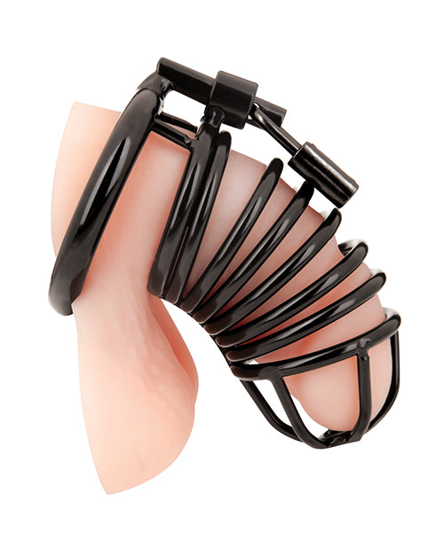 product image, 251542177.jpg