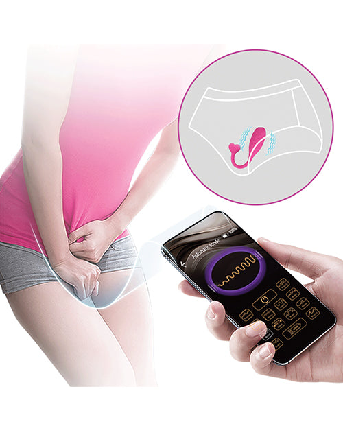 product image,314404908.jpg