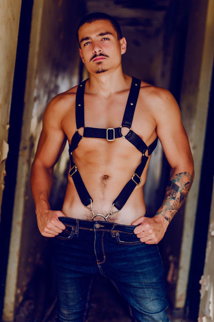 image of product,DNGEON Cross Cockring Harness