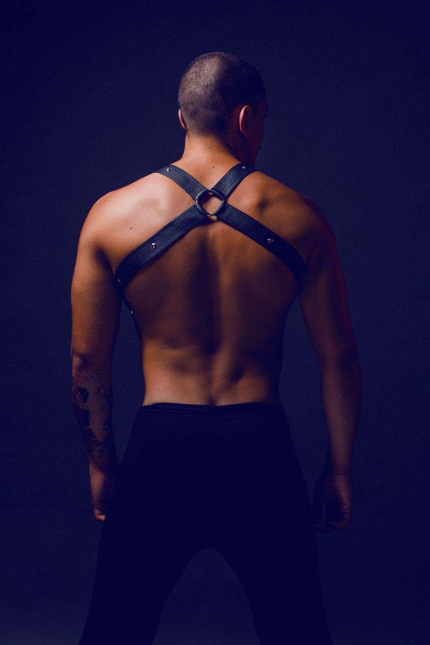 image of product,DNGEON Cross Cockring Harness