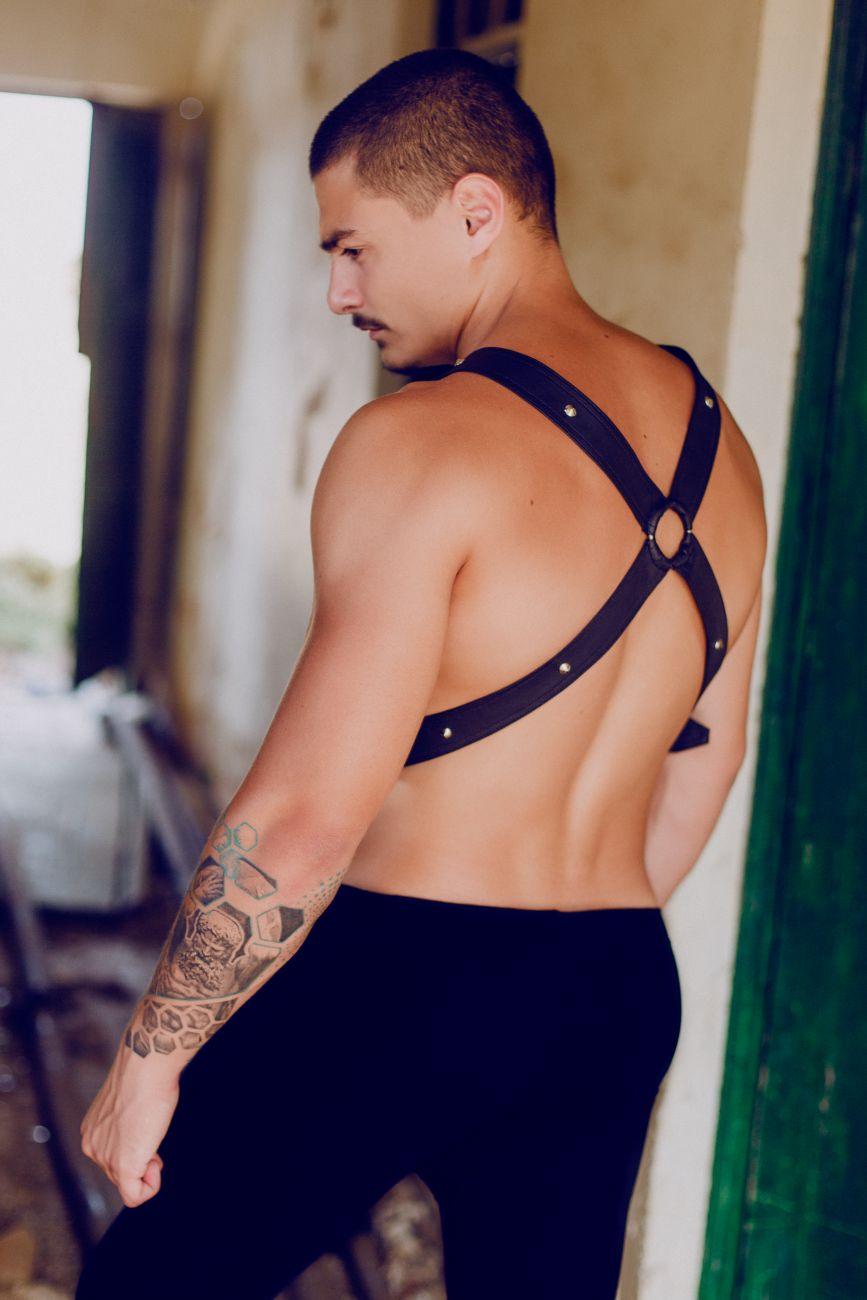image of product,DNGEON Cross Cockring Harness