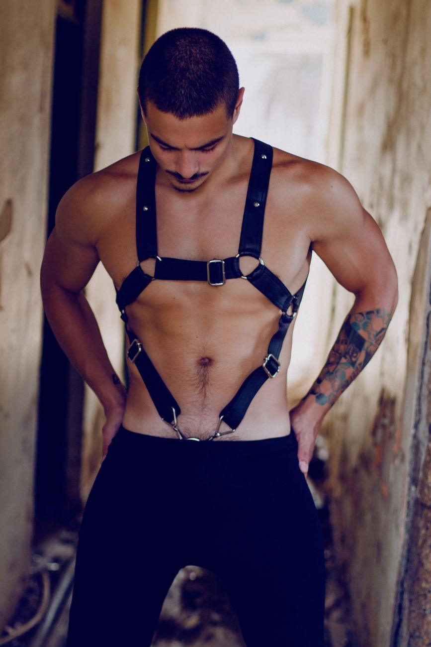 image of product,DNGEON Cross Cockring Harness