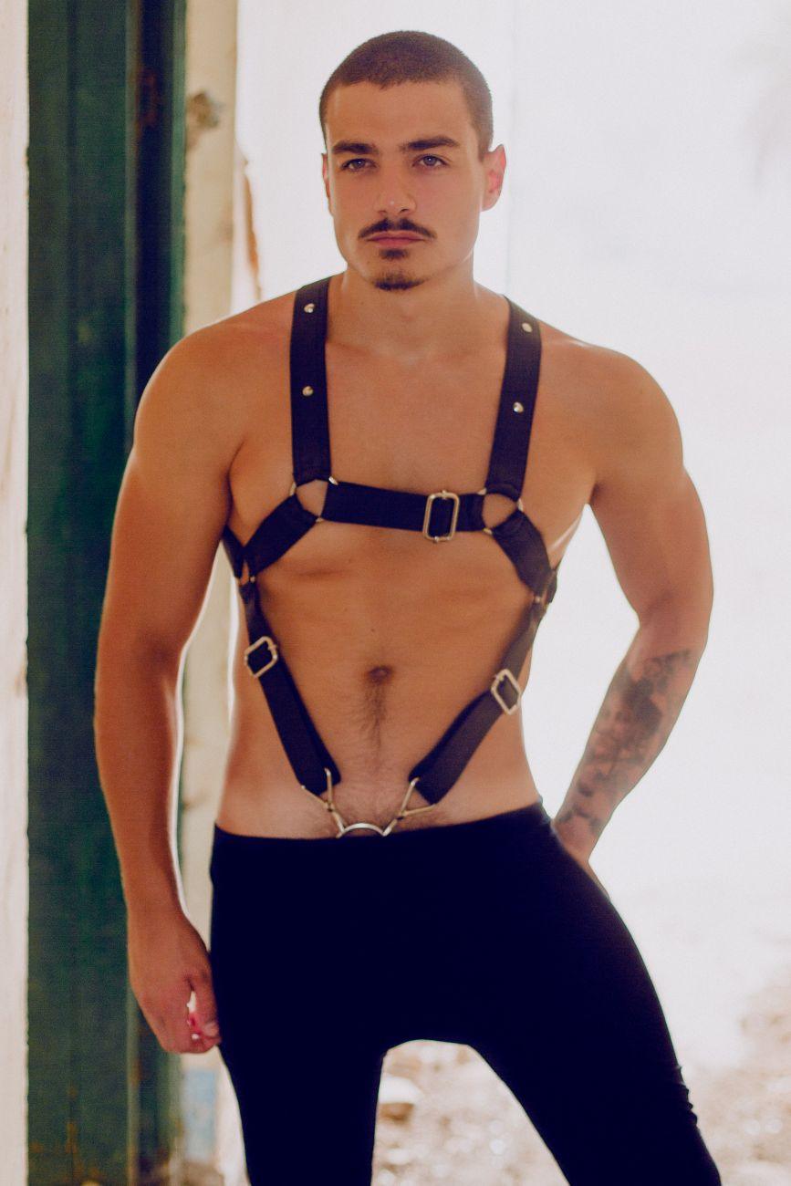 image of product,DNGEON Cross Cockring Harness