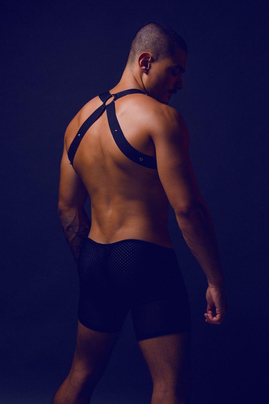 image of product,DNGEON Cross Cockring Harness