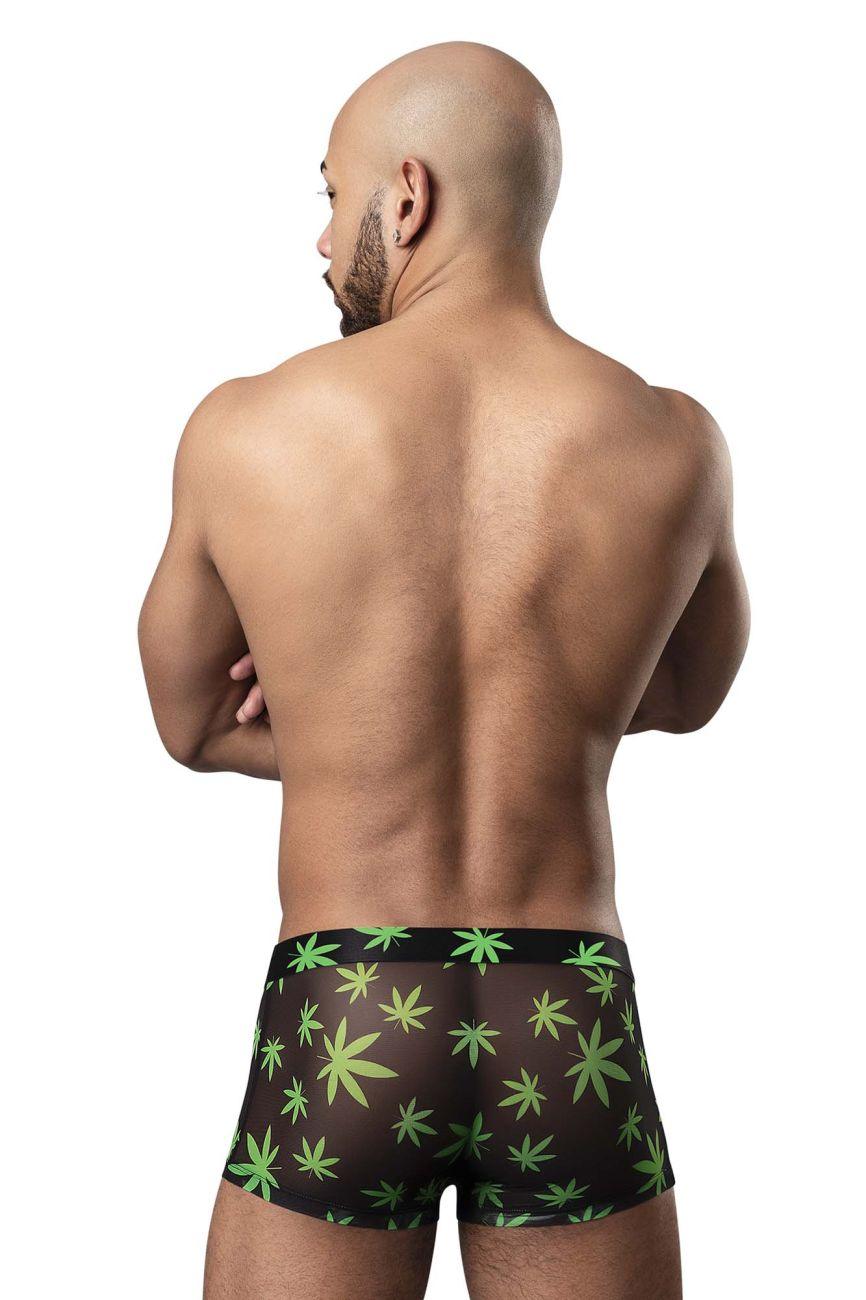 image of product,Hazy Dayz Pouch Short