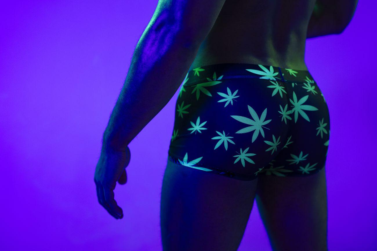 image of product,Hazy Dayz Pouch Short