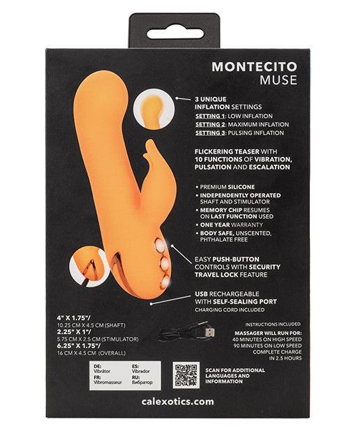 image of product,California Dream Montecito Muse Dual Stimulation Vibe - Orange - SEXYEONE