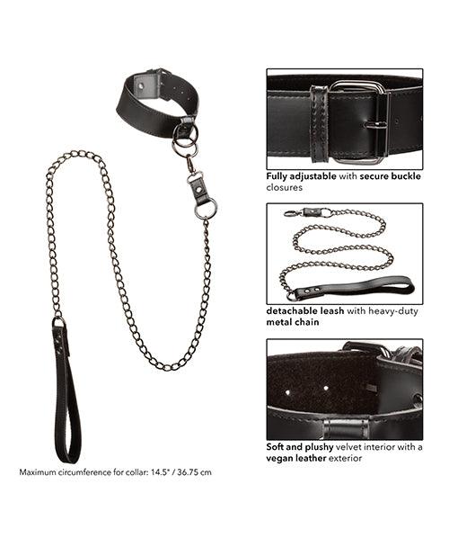 image of product,Euphoria Collection Collar W/chain Leash - SEXYEONE