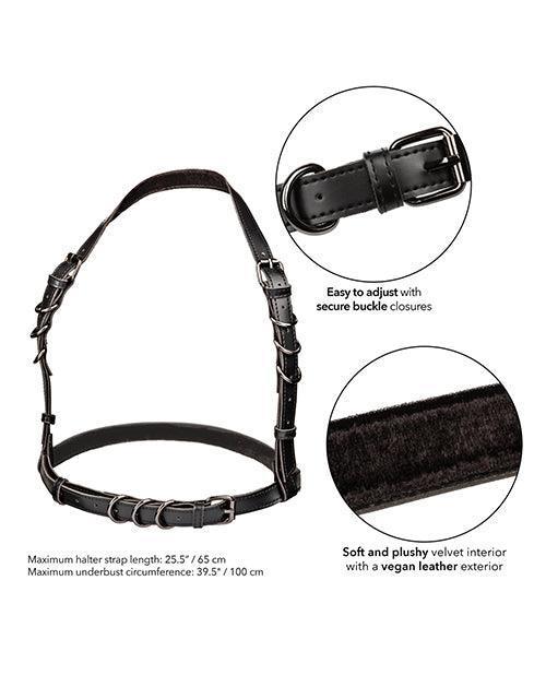 product image,Euphoria Collection Plus Size Halter Buckle Harness - SEXYEONE