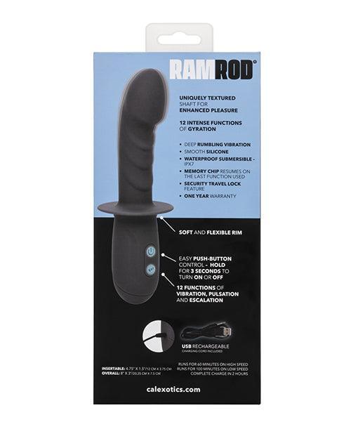 image of product,Ramrod Gyrating - SEXYEONE