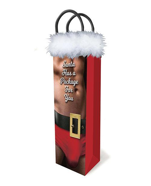 product image, Santa Has A Big Package Gift Bag - SEXYEONE