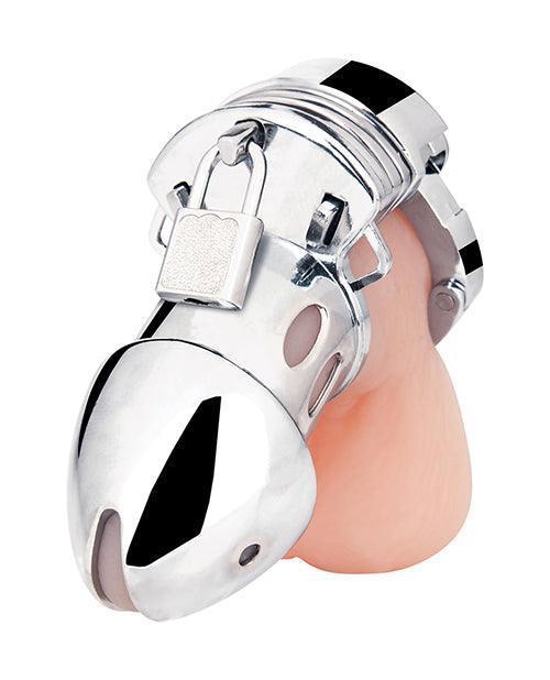 image of product,Blue Line Obedience Cage - Silver - SEXYEONE