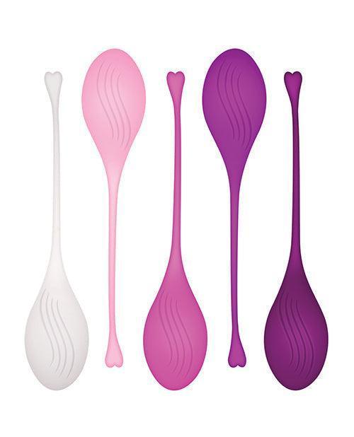 image of product,Evolved Tight & Delight 5 Pc Weighted Kegel Ball Set - Assorted Colors - SEXYEONE