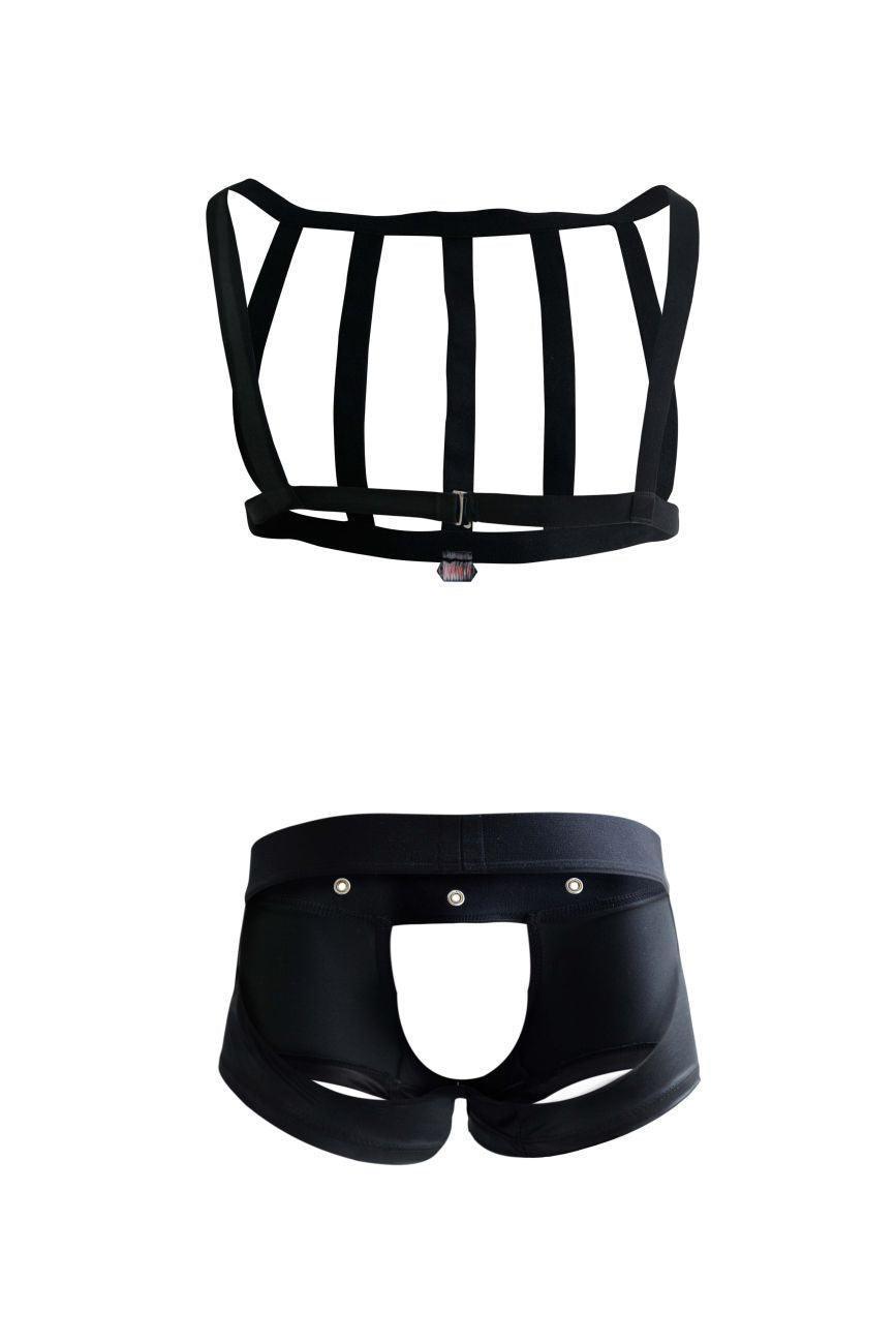 image of product,PIK 1086 Hard Harness Jockstrap - SEXYEONE