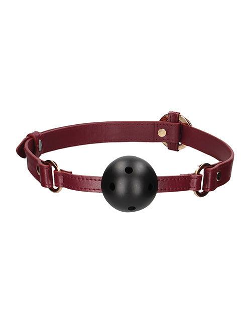 image of product,Shots Ouch Halo Breathable Ball Gag - SEXYEONE