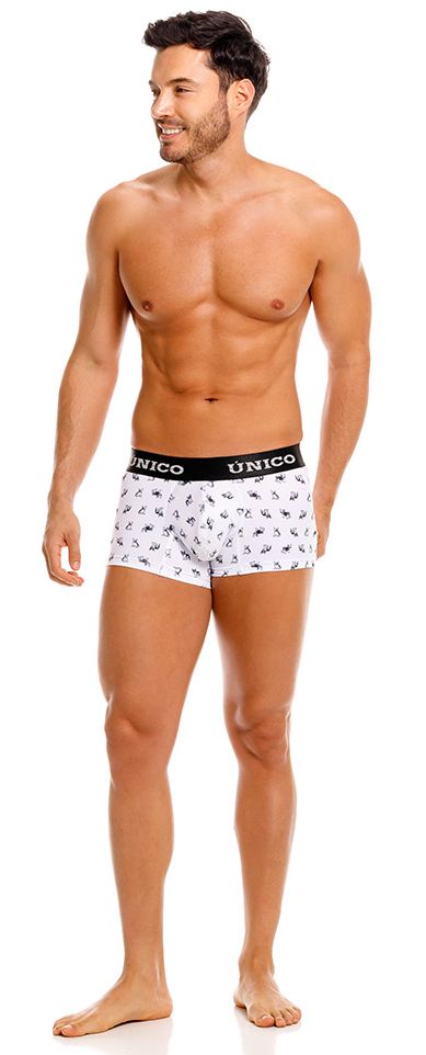product image,250147739.jpg