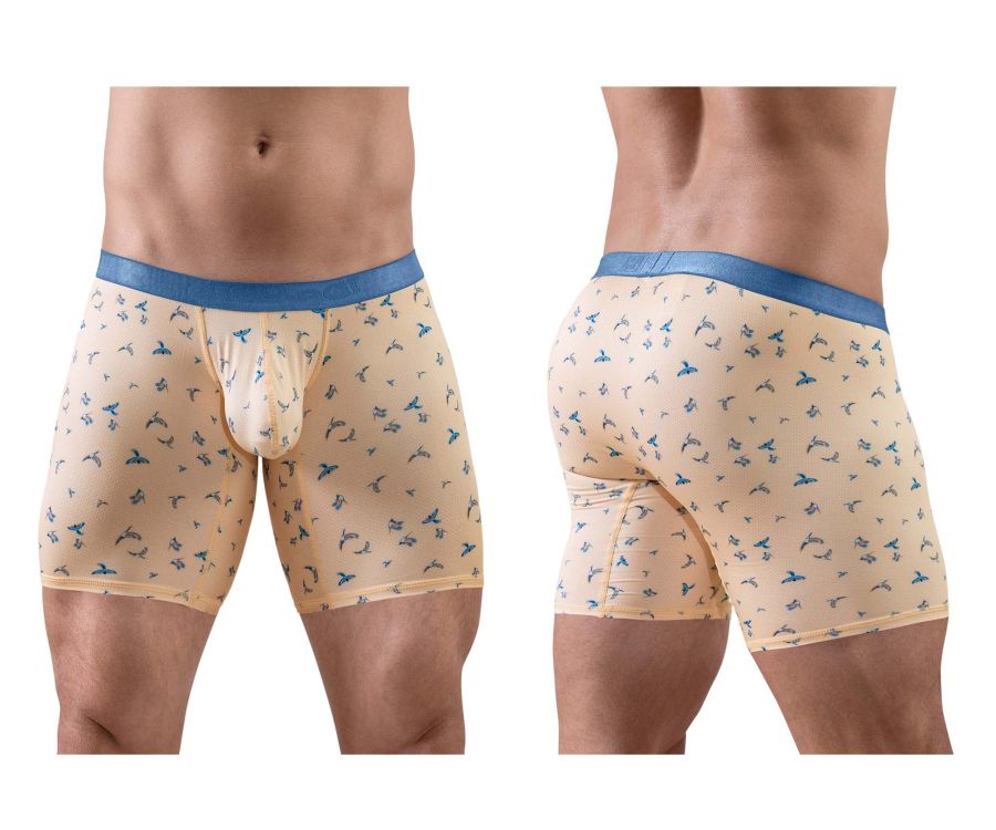 product image, 250147835.jpg