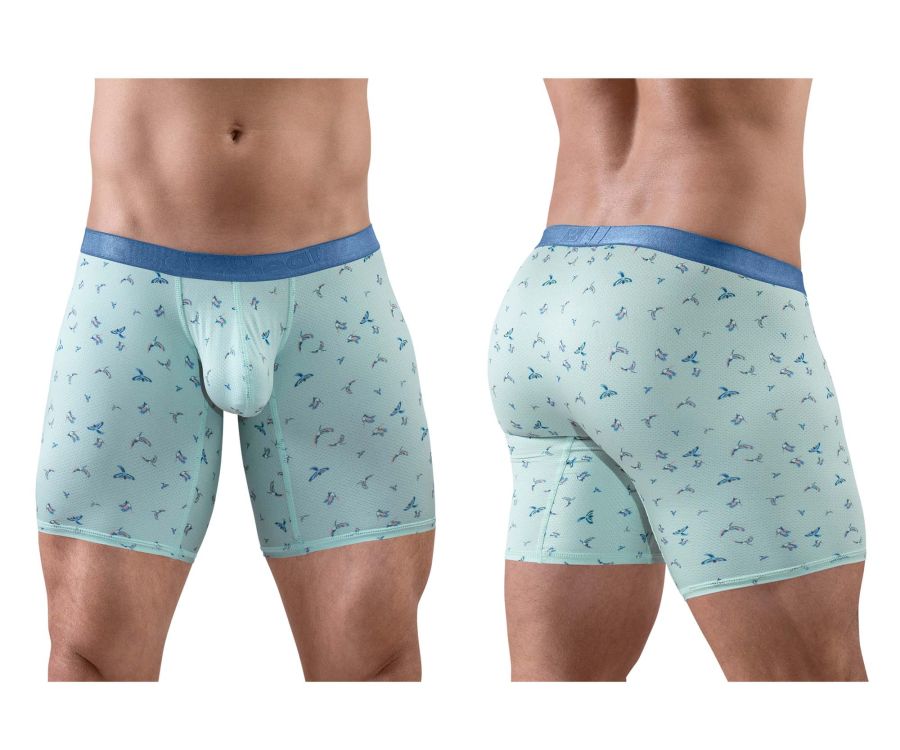 product image, 250147852.jpg