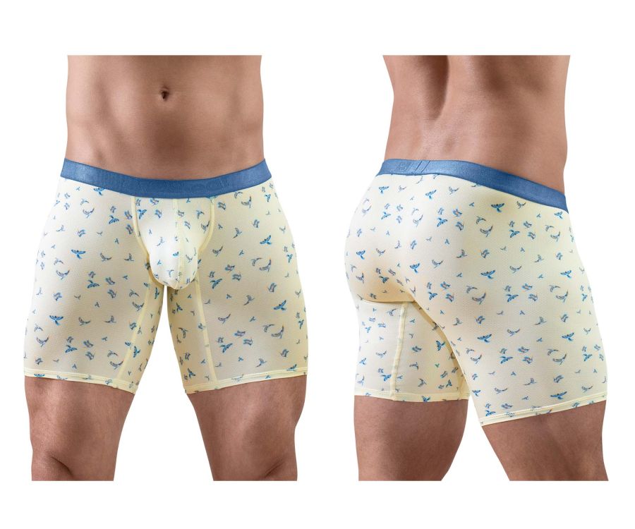 product image, 250148632.jpg