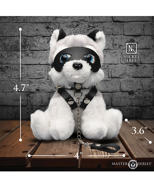 product image, 251537974.jpg