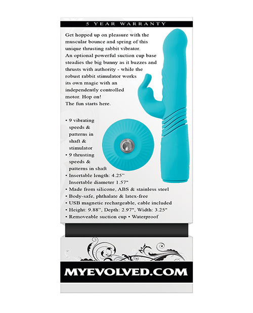 product image, 251546427.jpg