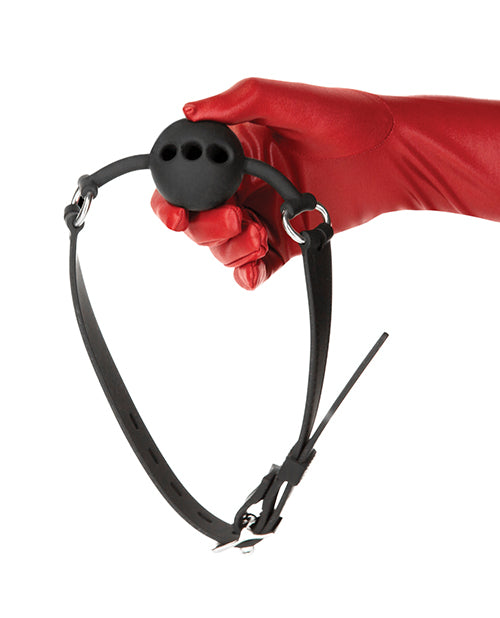 image of product,Punishment Ball Gag