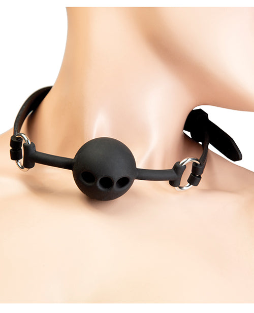 image of product,Punishment Ball Gag