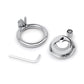 Lockmaster Stainless Steel Inverted Micro Chastity Cage - Silver