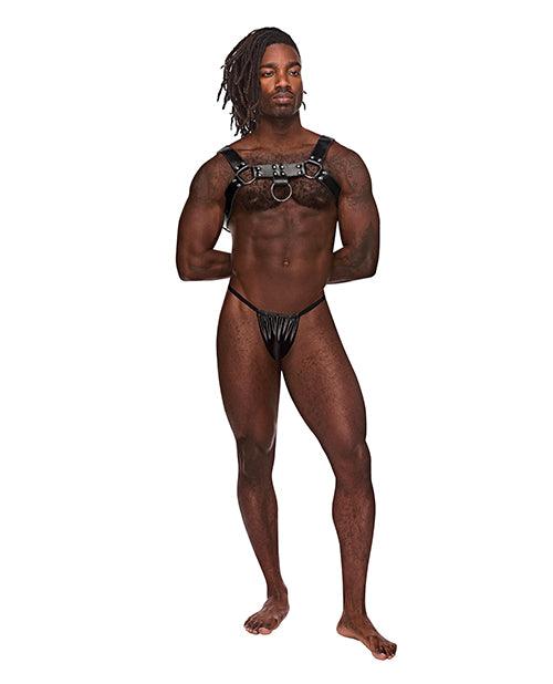 product image, Leather Aries Single Ring Harness Black O/S