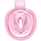 Master Series Pussification Vulva Locking Chastity Cage - Pink