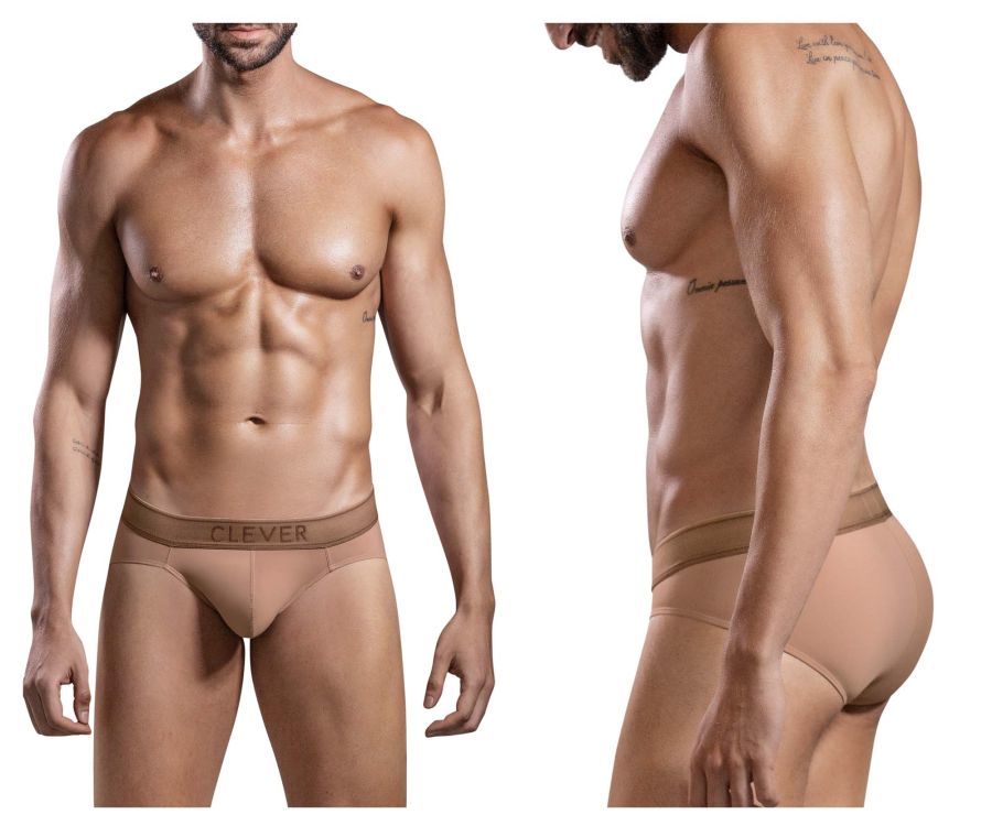 product image, Britanica Briefs