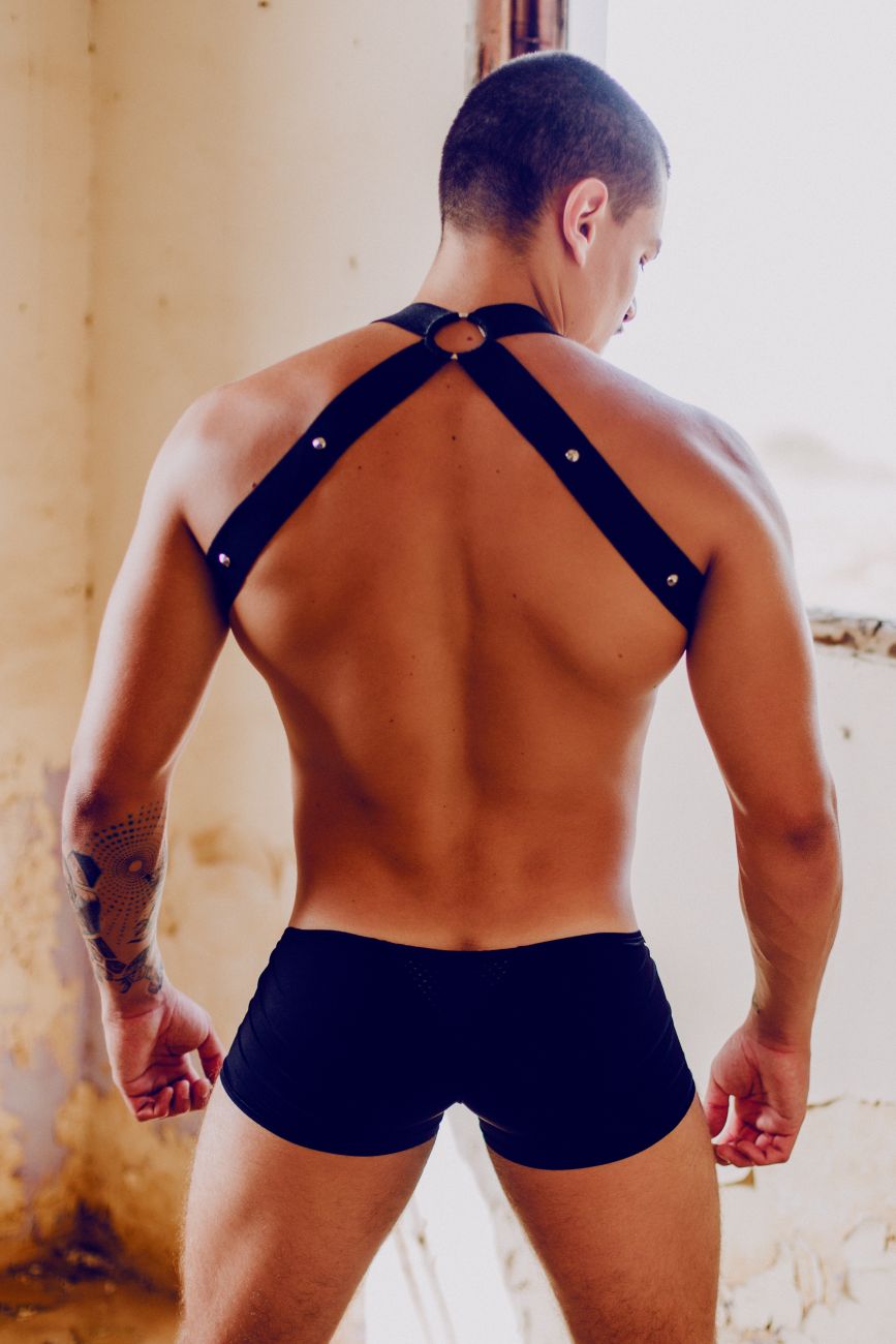 image of product,DNGEON Crossback Harness