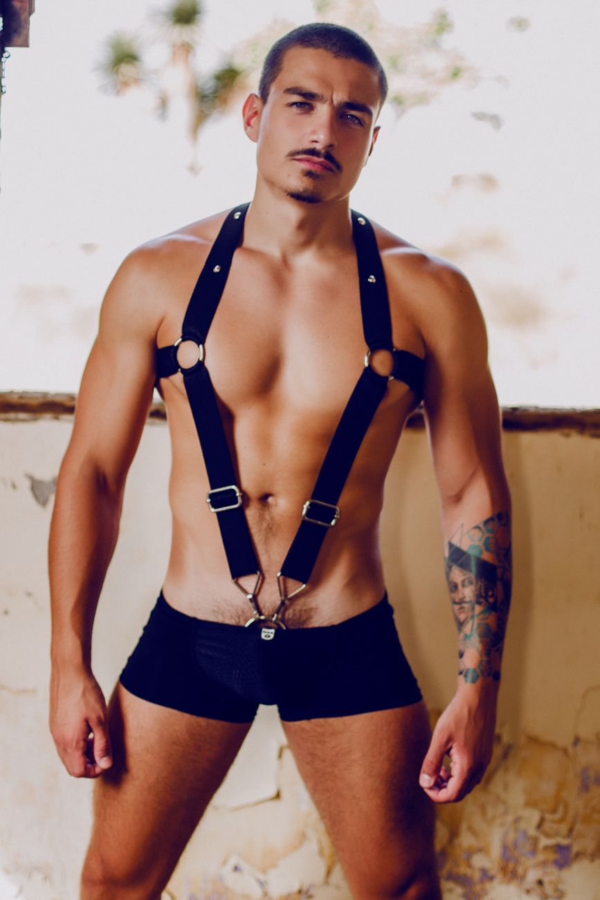 image of product,DNGEON Straigh Back Harness