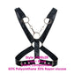 DNGEON Cross Chain Harness