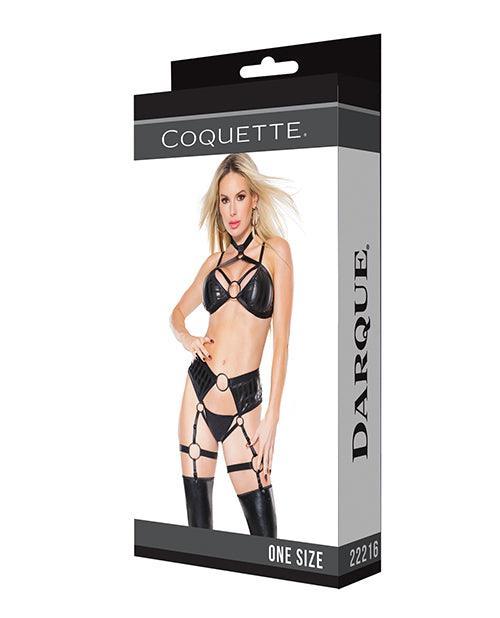 image of product,Darque Wet Look Striped Strappy Halter Top & Crotchless Garter Panty Black Os - SEXYEONE