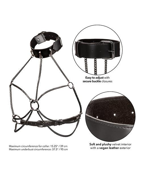Euphoria Collection Plus Size Multi Chain Collar Harness - SEXYEONE
