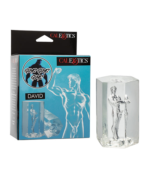 product image, Guys Guys Guys David Masturbator - Clear - SEXYEONE