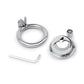 Lockmaster Stainless Steel Inverted Micro Chastity Cage - Silver - SEXYEONE