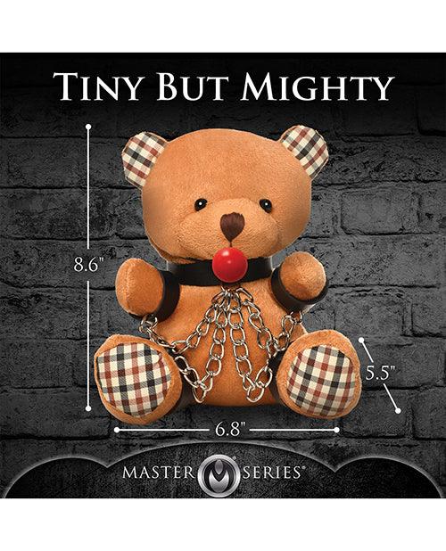 image of product,Master Series Gagged Teddy Bear Plush - SEXYEONE