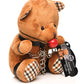 Master Series Gagged Teddy Bear Plush - SEXYEONE