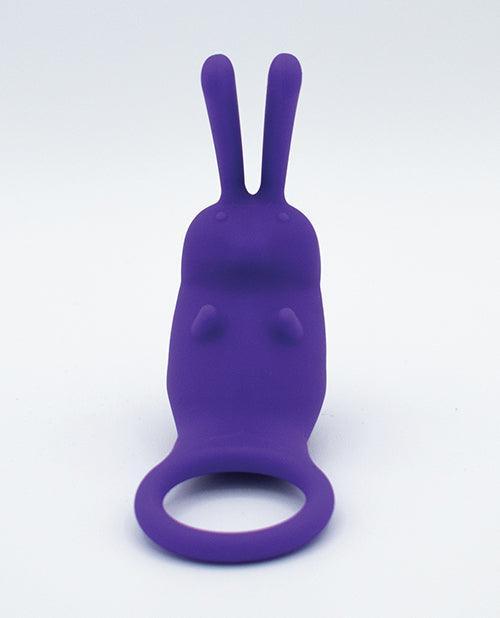 image of product,Natalie's Toy Box The Cock Hopper Cock Ring & Bullet Vibrator - Purple - SEXYEONE