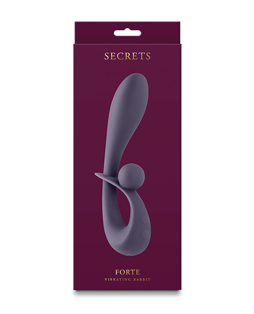 product image, Secrets Forte - Gray - SEXYEONE