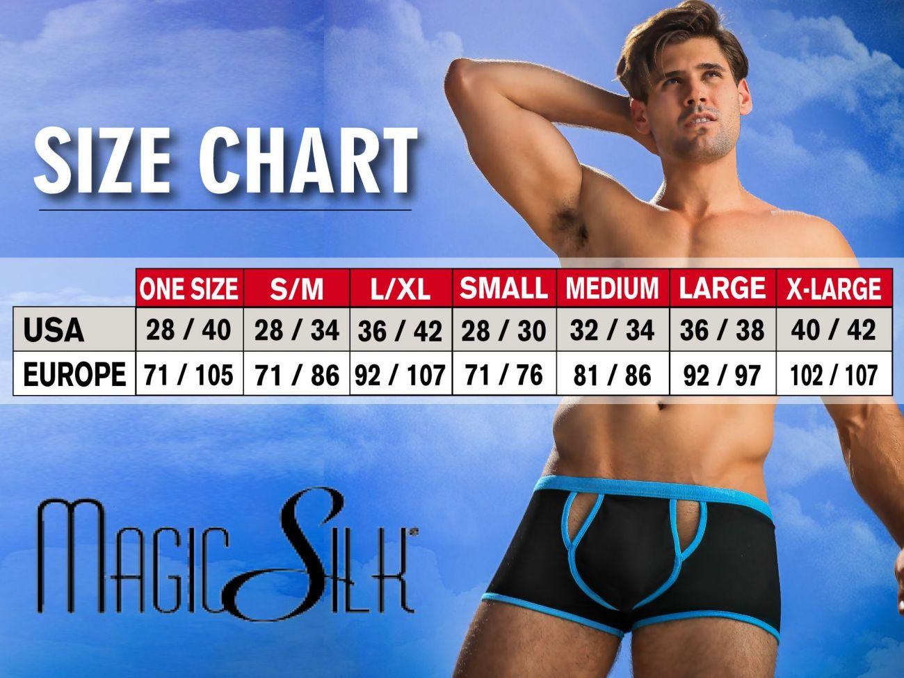 image of product,Silk Briefs - SEXYEONE