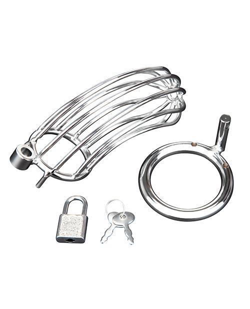 image of product,Blue Line Prisoner Cock Cage - Silver - SEXYEONE 