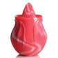 Curve Novelties Gossip Licking Rose - SEXYEONE